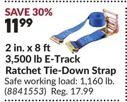 Princess Auto 2 in. x 8 3,500 lb E-Track Ratchet Tie-Down Strap offer