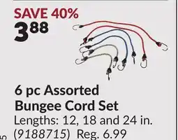 Princess Auto 6 pc Assorted Bungee Cord Set offer