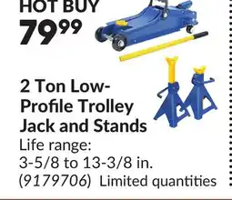 Princess Auto 2 Ton Low-Profile Trolley Jack and Stands offer