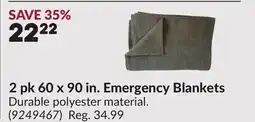 Princess Auto 2 pk 60 x 90 in. Emergency Blankets offer