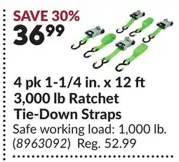 Princess Auto 4 pk 1-1/4 in. x 12 3,000 lb Ratchet Tie-Down Straps offer
