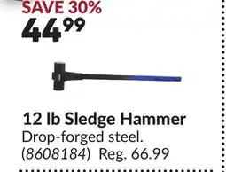 Princess Auto 12 lb Sledge Hammer offer
