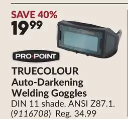 Princess Auto TRUECOLOUR Auto-Darkening Welding Goggles offer
