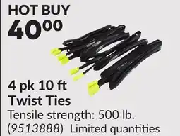 Princess Auto 4 pk 10 Twist Ties offer