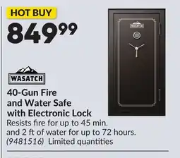 Princess Auto 40-Gun Fire and Water Safe with Electronic Lock offer