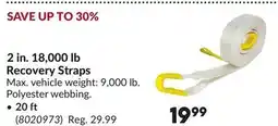 Princess Auto 2 in. 18,000 lb Recovery Straps offer