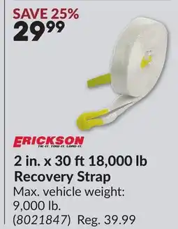 Princess Auto 2 in. x 30 ft18,000 lb Recovery Strap offer