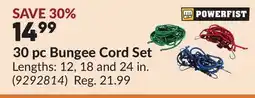 Princess Auto 30 pc Bungee Cord Set offer