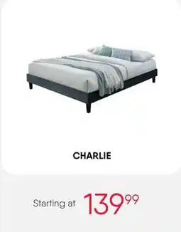 Meubles RD CHARLIE offer