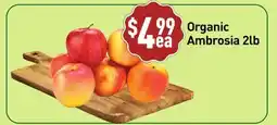 Healthy Planet Organic Ambrosia offer