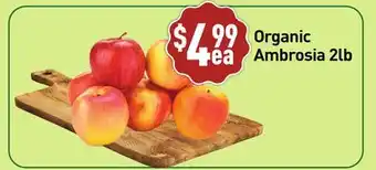 Healthy Planet Organic Ambrosia offer