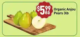 Healthy Planet Organic Anjou Pears offer