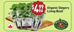 Healthy Planet Organic Slegers Living Basil offer