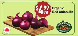 Healthy Planet Organic Red Onion offer