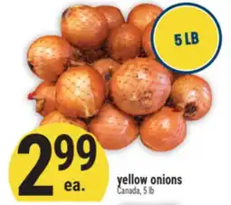 Marché Adonis yellow onions offer
