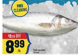 Marché Adonis FRESH SEA BASS offer