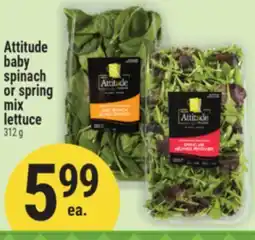 Marché Adonis ATTITUDE BABY SPINACH OR SPRING MIX LETTUCE offer