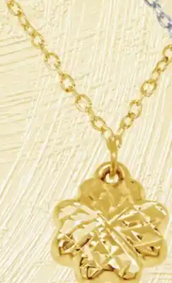 Charm Diamond Necklace offer