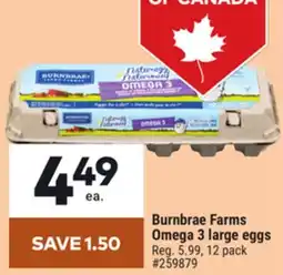 Giant Tiger Burnbrae Farms Omega 3 large eggs offer