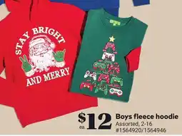 Giant Tiger Boys fleece hoodie offer