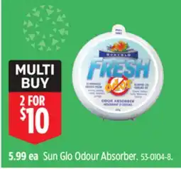 Canadian Tire Sun Glo Odour Absorber offer