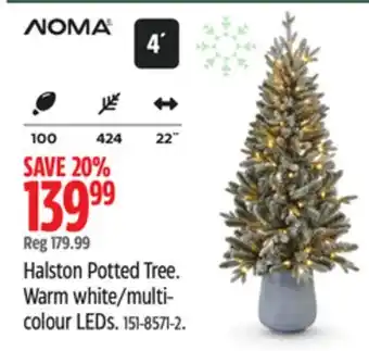 Canadian Tire NOMA Halston Potted Tree offer