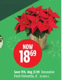 Canadian Tire Decorative Fresh Poinsettia, 8 offer
