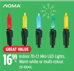 Canadian Tire Indoor 70-Ct Mini LED Lights offer