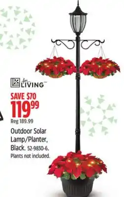 Canadian Tire For Living Outdoor Solar Lamp/Planter offer
