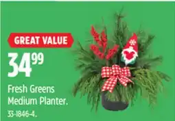 Canadian Tire Fresh Greens Medium Planter offer