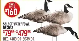 Cabela's SELECT WATERFOWL DECOYS offer