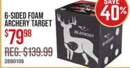 Cabela's 6-SIDED FOAM ARCHERY TARGET offer