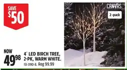 Canadian Tire CANVAS 4´ LED BIRCH TREE, 2-PK, WARM WHITE offer