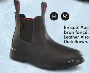 L'équipeur Men's ICEFX Winter Boots offer
