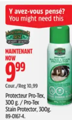 Canadian Tire Moneyworth Pro-Tex Stain Protector, 300g offer