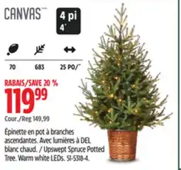 Canadian Tire CANVAS Upswept Spruce Potted Tree offer
