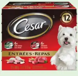 Canadian Tire Cesar Wet Dog Food offer