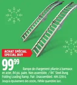 Canadian Tire 84˝ Steel Rung Folding Loading Ramp, Pair Unassembled offer