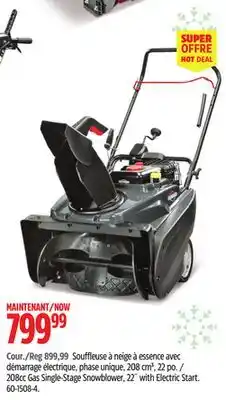 Canadian Tire Briggs & Stratton 208cc Gas Single-Stage Snowblower, 22 with Electric Start offer