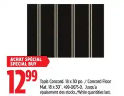 Canadian Tire Multy Home Concord Floor Mat. 18 x 30˝ offer