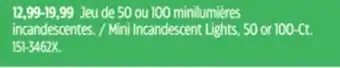 Canadian Tire Mini Incandescent Light offer