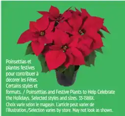 Canadian Tire Poinsettias and Festive Plants to Help Celebrate the Holidays offer