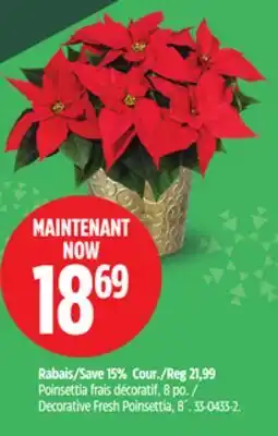 Canadian Tire Poinsettia frais décoratif offer
