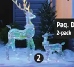 Canadian Tire CANVAS LED Deer and Fawn offer