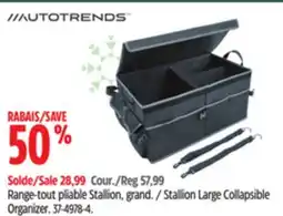 Canadian Tire AUTOTRENDS Stallion Large Collapsible Organizer offer