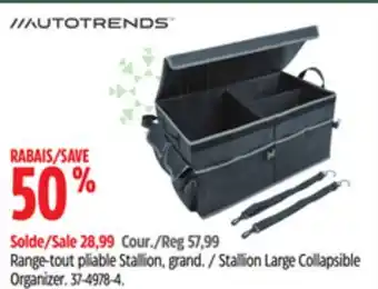 Canadian Tire AUTOTRENDS Stallion Large Collapsible Organizer offer