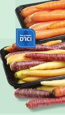Marché Bonichoix NANTES OR MULTICOLOURED NANTES CARROTS offer