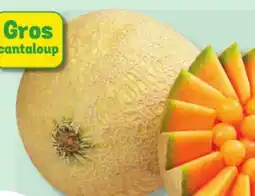 Marché Bonichoix CANTALOUP offer