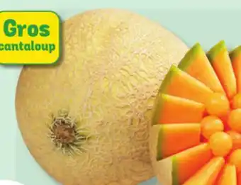 Marché Bonichoix CANTALOUP offer