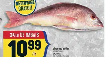 Marché Adonis VIVANEAU ENTIER | WHOLE SNAPPER offer